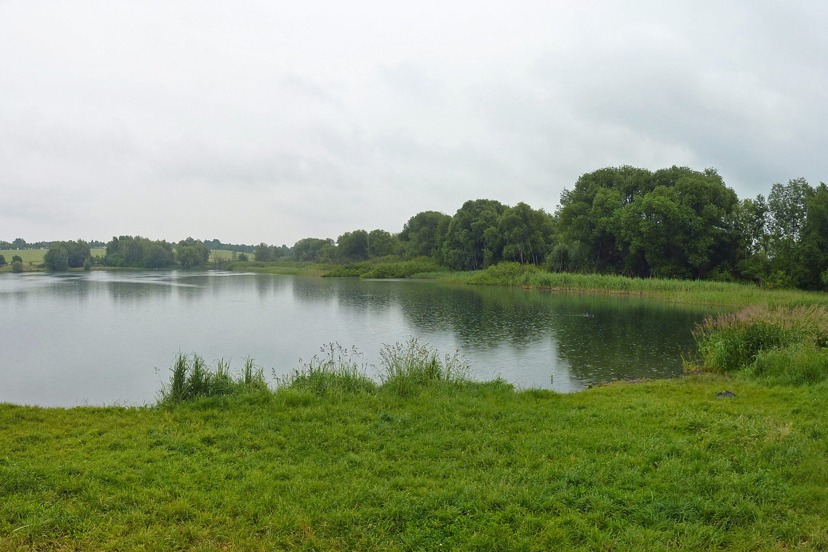 Butzer See in Berlin-Hellersdorf