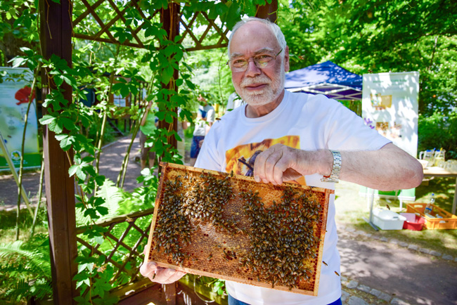 In Europa sind 75 Prozent der Kultur- und Nutzpflanzen von der Bienenbestäubung abhängig. Die Tiere von Uwe Meyer vom Imkerverein Wuhlertahl 1864 tragen dazu bei