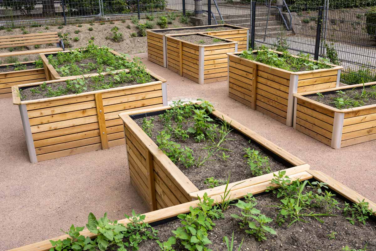 Drei Urban-Gardening-Bereiche wurden in Zusammenarbeit mit dem FACE-Familienzentrum bereits 2022 in Betrieb genommen und bepflanzt