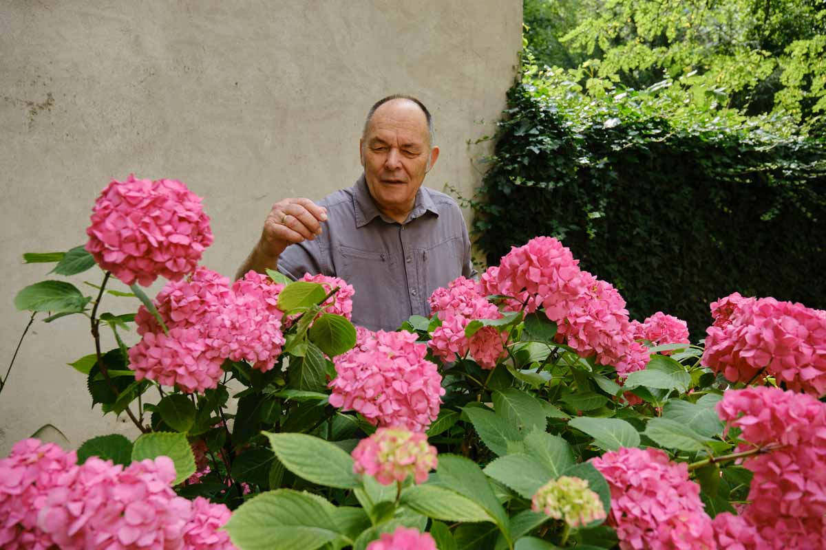 Mit von bunten Pflanzen peppt Wolfgang Winter seinen Hofgarten auf