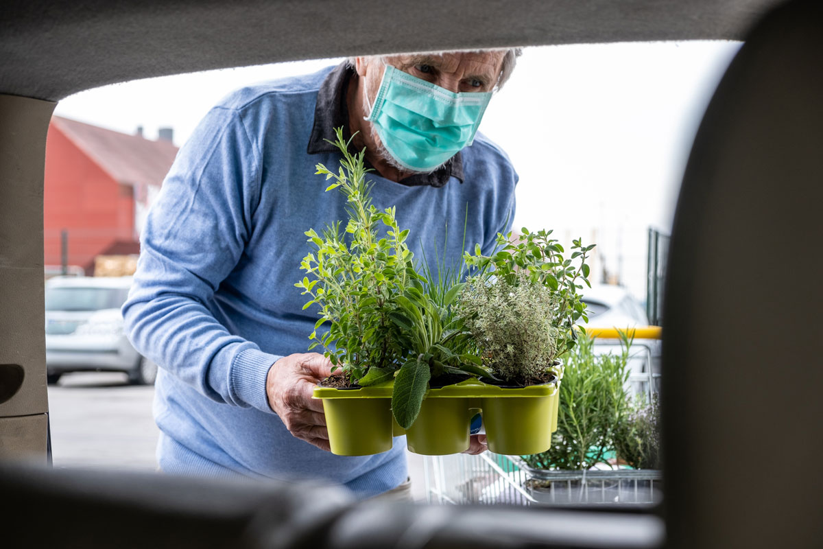 Mann mit Mund-Nase-Maske stellt Pflanzen in den Kofferraum