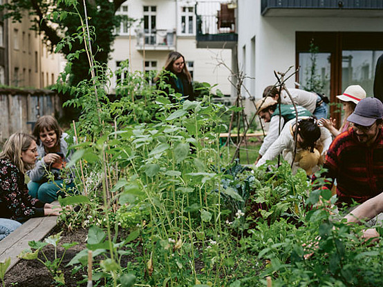 Urban Gardening in Berlin