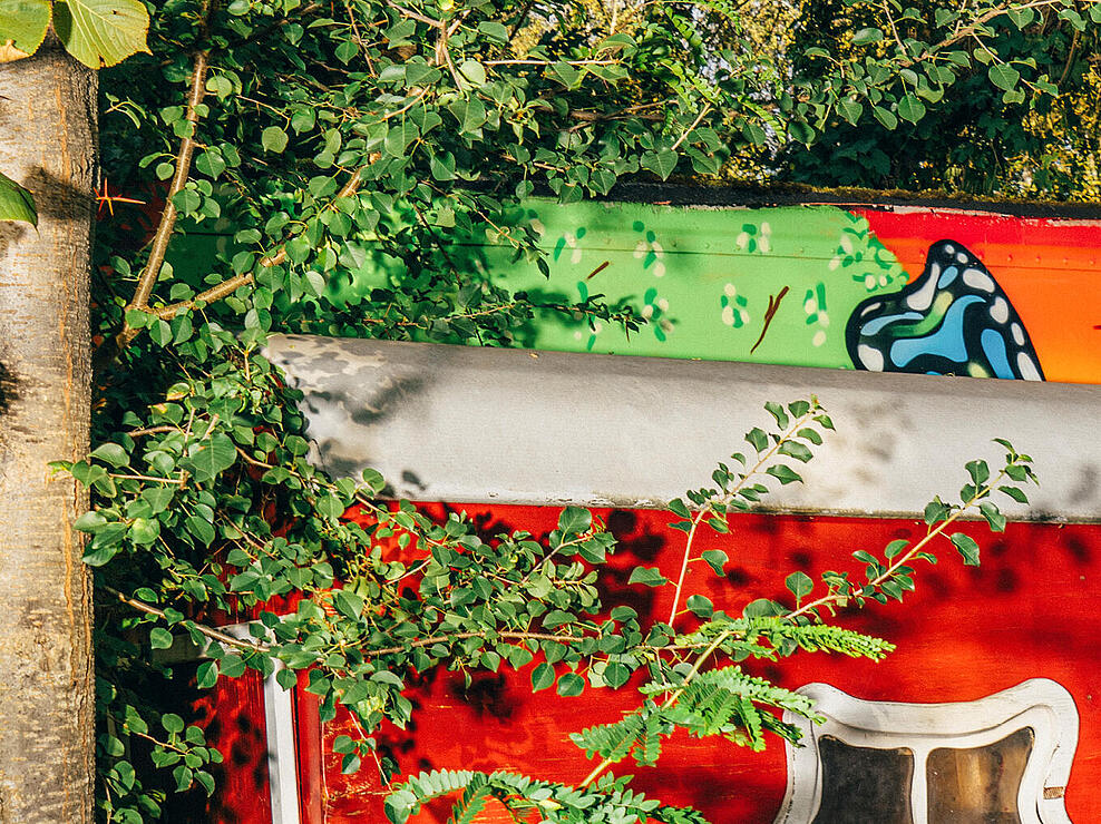 Ein roter Wagen hinter einem Baum halb versteckt