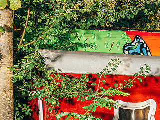 Ein roter Wagen hinter einem Baum halb versteckt