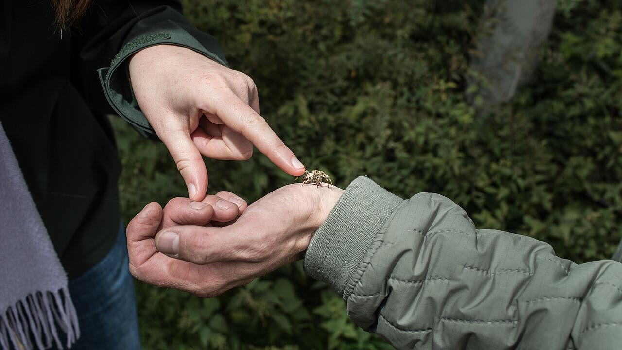 Anna Scheld berührt eine Spinne auf der Hand des Tourguides