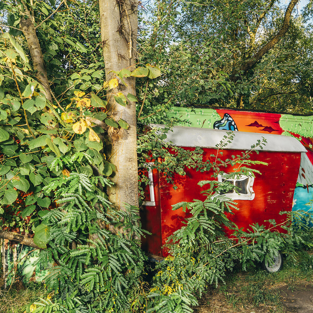 Ein roter Wagen halb versteckt hinter einem Baum