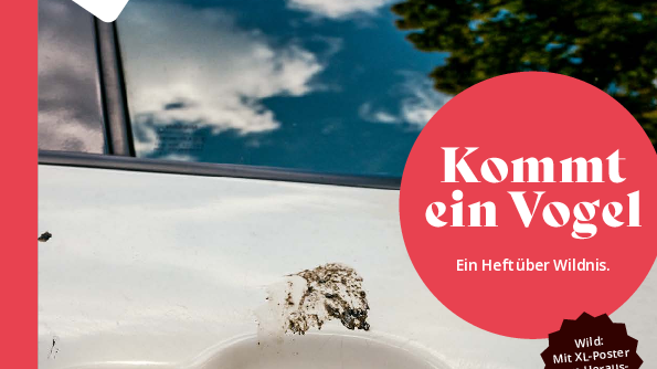 Vorschaubild der PDF-Datei