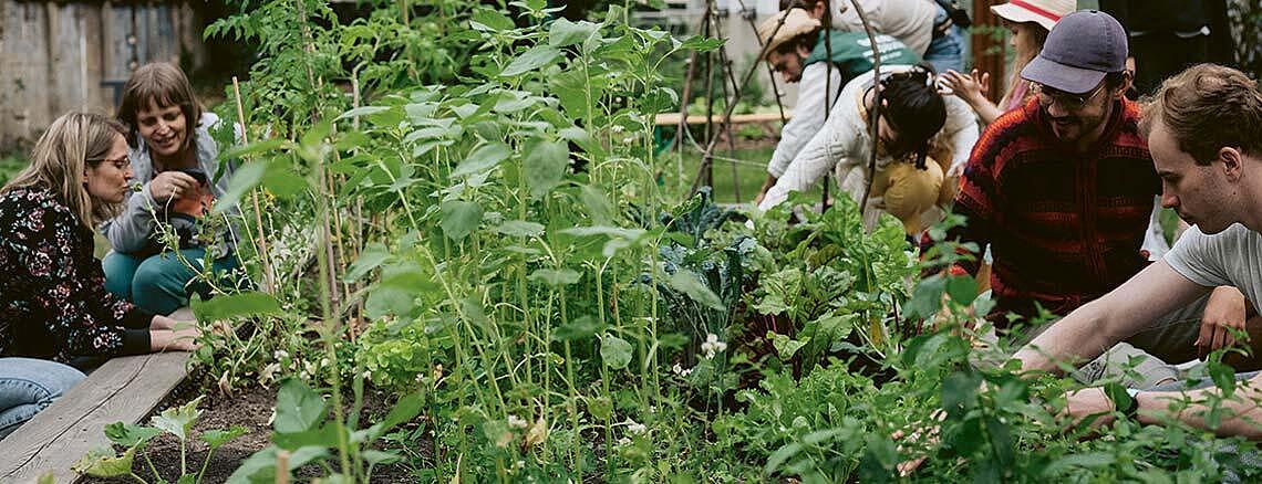 Außenaufnahme: Beet mit Pflanzen, rechts und links davon knien mehrere Personen