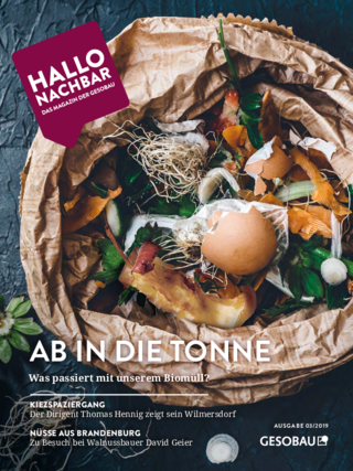 Vorschaubild der PDF-Datei Ausgabe 3/2019