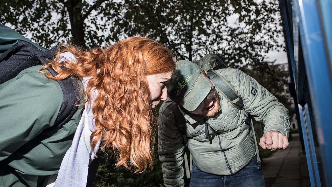 Anna Scheld sucht mit dem Tourguide nach Spinnen
