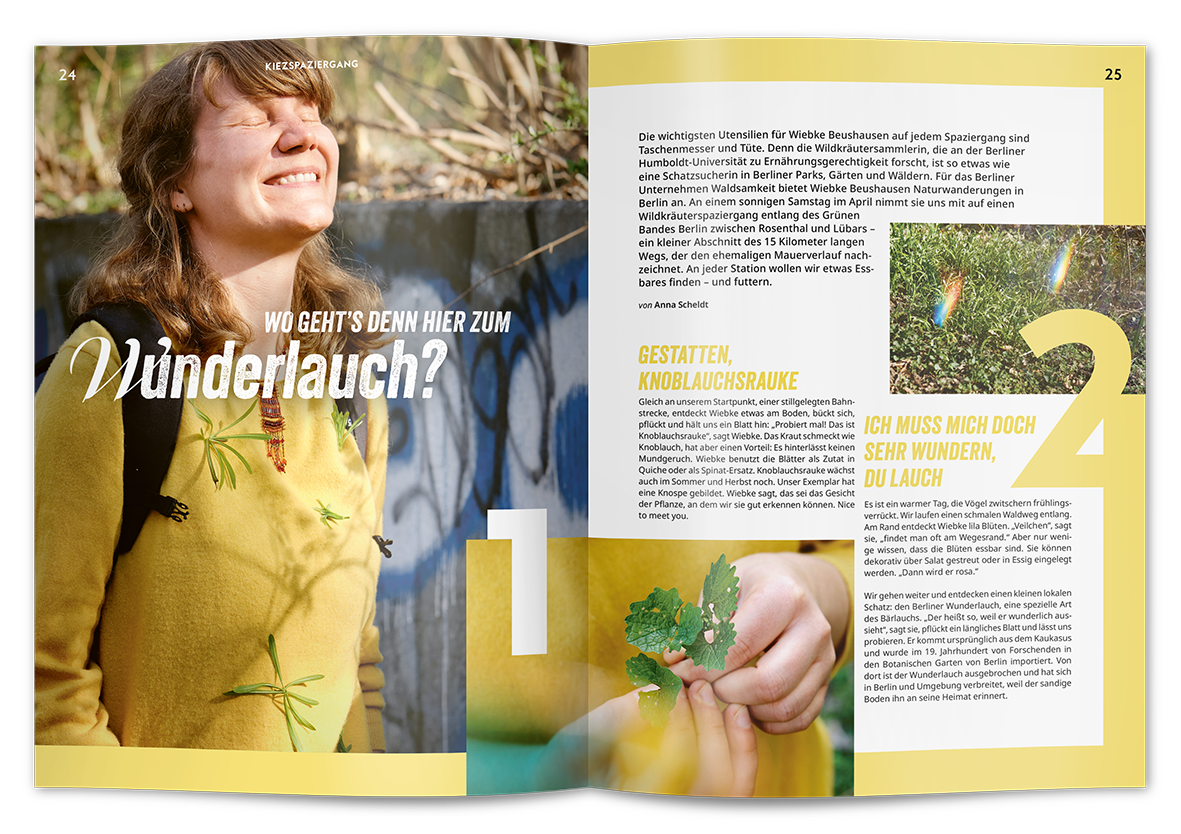 Hallo Nachbar 2-25 Kiezspaziergang zum Thema Wildkräuter