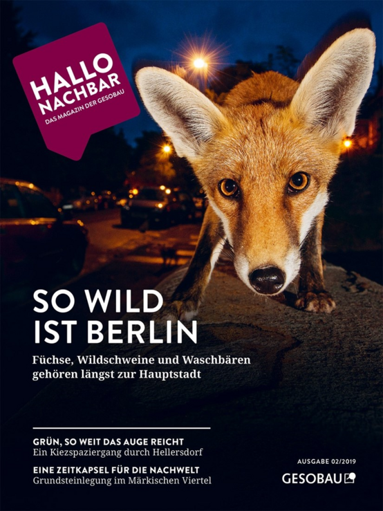 Titelbild einer Hallo Nachbar-Ausgabe von 2019, im Vordergrund ein Fuchs mit der Überschrift: So wild ist Berlin
