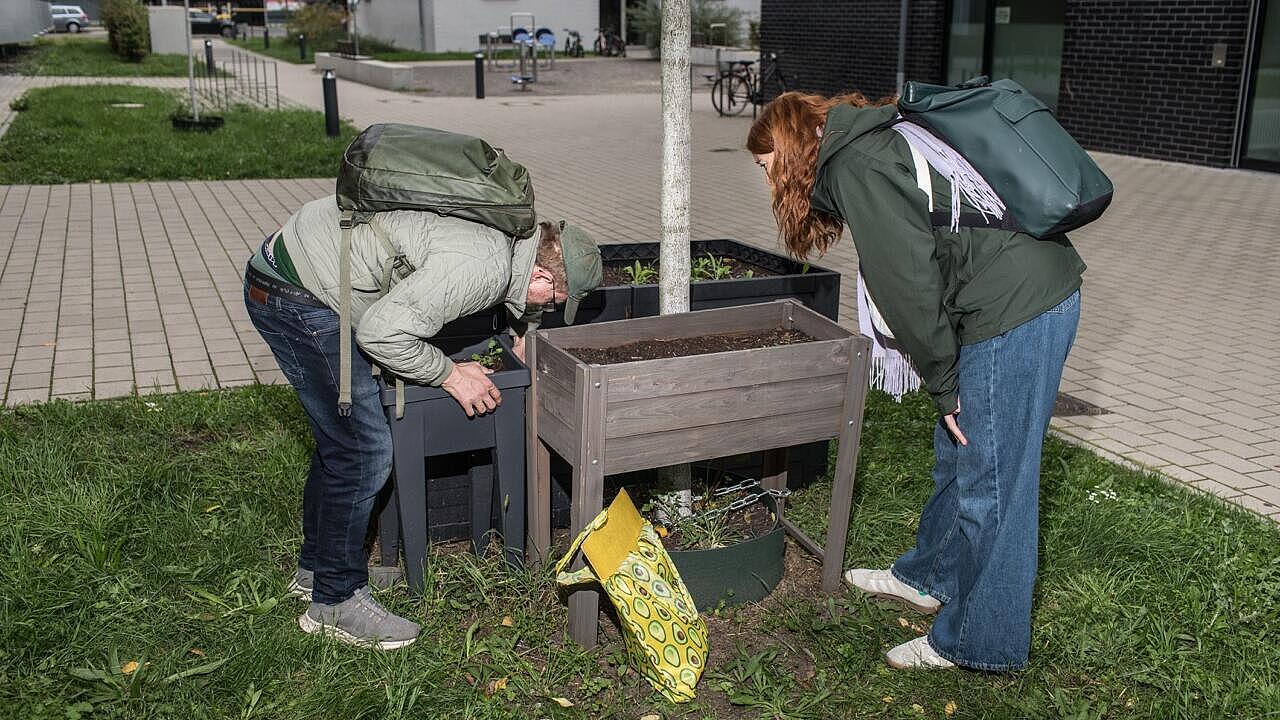 Autorin Anna Scheld und Tourguide schauen in Blumenkästen nach Spinnen