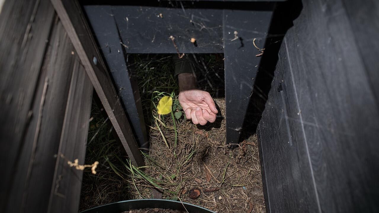 Eine Hand greift in ein Spinnennetz