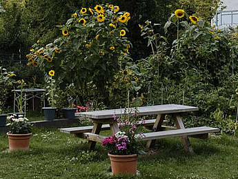 Ein grüner Garten mit Picknicktischen und Sonnenblumen vor typischen Hochhausbauten im Märkischen Viertel.