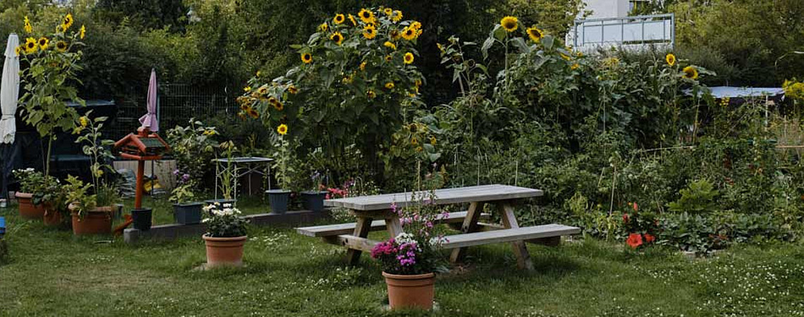 Ein grüner Garten mit Picknicktischen und Sonnenblumen vor typischen Hochhausbauten im Märkischen Viertel.