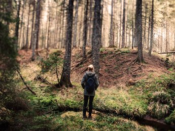 Frau spaziert durch Wald